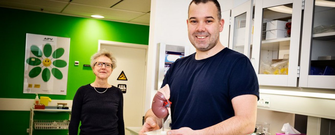 Professor Bente Jespersen og lektor Marco Eijken er blandt bevillingsmodtagerne under Novo Nordisk Fondens 'Exploratory Interdisciplinary Synergy'-program. Med en bevilling på fem mio. kr. i ryggen skal de udvikle en ny metode til at teste donornyrer. Fo