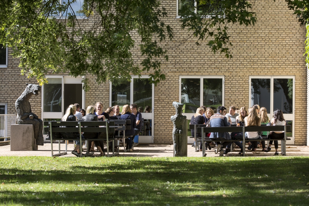 Studerende i universitetsparken