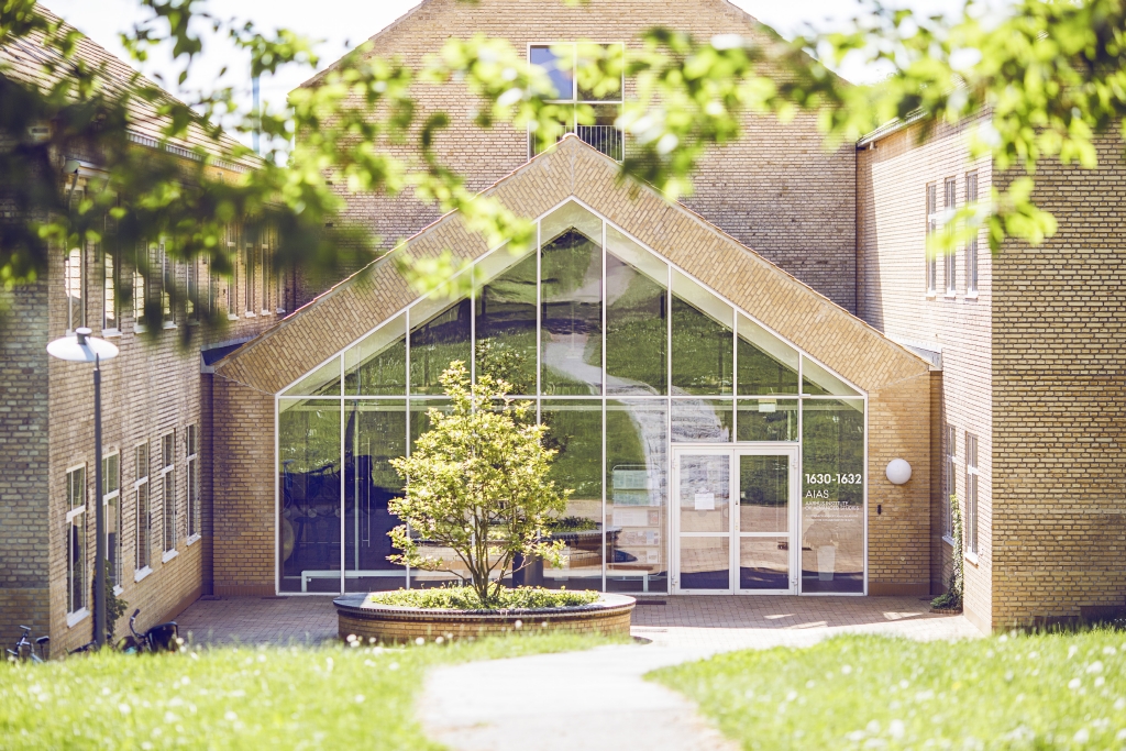 Det er de mest talentfulde junior- og seniorforskere fra hele verden, som har minimum to års forskningserfaring efter en afsluttet ph.d.-grad, der kan søge AIAS-stipendiater. Foto: Melissa Bach Yildirim / AU Foto