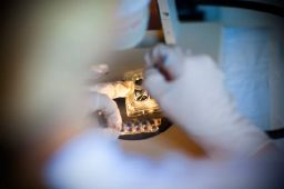 Et forskerhold fra Aarhus Universitet er kommet nærmere en forståelse af, hvordan de tidlige Parkinsons-symptomer opstår, og måske også hvordan de kan bremses.