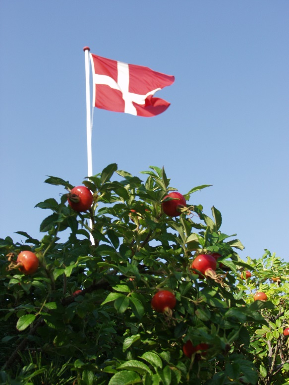 Health invites you to this year's summerparty in June. Reserve the date now, and look forward to a festive night in the garden. Health invites you to this year's summerparty in June. Reserve the date now, and look forward to a festive night in the garden.